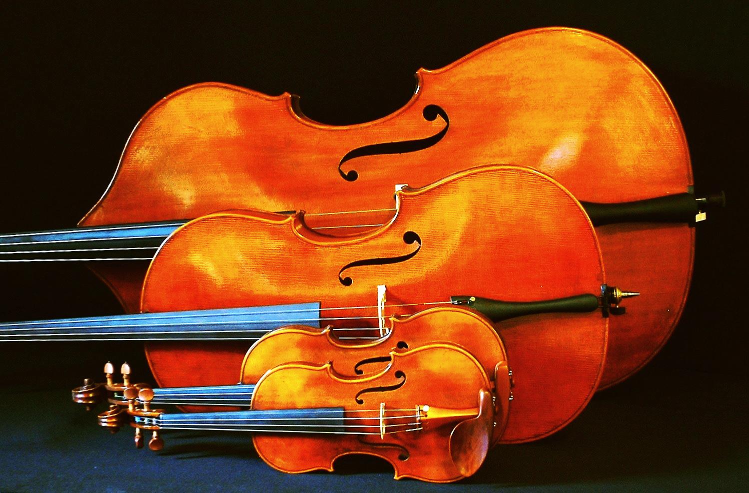 Picture of a bass, cello, violin and viola